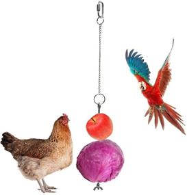 img 1 attached to Saim Chicken Accessories Vegetable Hanging