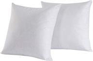 🔳 premium 22x22 inch square decorative throw pillow insert - set of 2, 95% feather 5% down, 100% cotton logo
