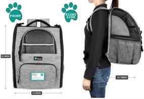 img 3 attached to 🐾 PetAmi Deluxe Pet Carrier Backpack: Ventilated Design, Two-Sided Entry, and Safety Features for Small Cats and Dogs - Ideal for Travel, Hiking, and Outdoor Use