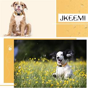 img 3 attached to 🐶 JKEEMI Printed Patterns Dog Collar - Durable & Adjustable Collar for Small & Medium Puppy Dogs