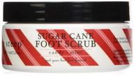 🦶 deep steep organic candy mint therapeutic foot scrub - 8 fl. oz. logo