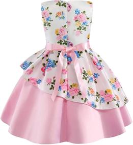 img 1 attached to 👧 Kids Special Occasion Dress for Flower Girls – NSSMWTTC Pageant Party Dresses