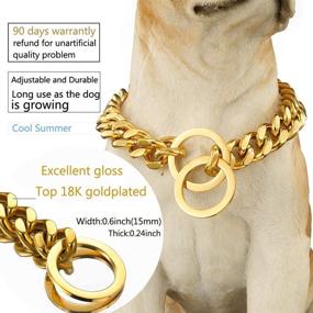 img 3 attached to Premium Adjustable 18K Gold Dog Collar Slip Choker: 🐶 Stainless Steel, 15mm Width, Ideal for Big and Small Dogs (S/M/L)