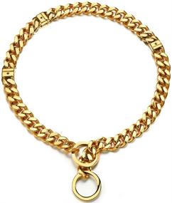 img 4 attached to Premium Adjustable 18K Gold Dog Collar Slip Choker: 🐶 Stainless Steel, 15mm Width, Ideal for Big and Small Dogs (S/M/L)