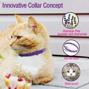 img 1 attached to leQuiven Cat Calming Collar, 3 Pack | Pheromone Anti-Anxiety Calm Collars for Cats | Adjustable & Waterproof | Fits Small, Medium, and Large Cats Up to 15 Inches