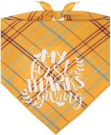 pawskido first thanksgiving dog bandana logo