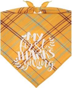 img 4 attached to Pawskido First Thanksgiving Dog Bandana