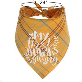 img 3 attached to Pawskido First Thanksgiving Dog Bandana