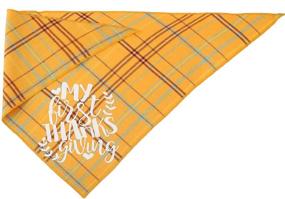 img 2 attached to Pawskido First Thanksgiving Dog Bandana