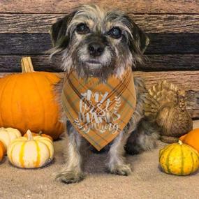 img 1 attached to Pawskido First Thanksgiving Dog Bandana