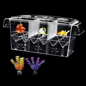 img 4 attached to 🐠 Tfwadmx Fish Breeding Box: Ideal Aquarium Breeder Box for Guppy - Includes Artificial Plant!