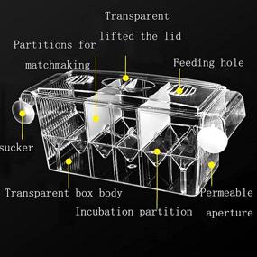 img 1 attached to 🐠 Tfwadmx Fish Breeding Box: Ideal Aquarium Breeder Box for Guppy - Includes Artificial Plant!