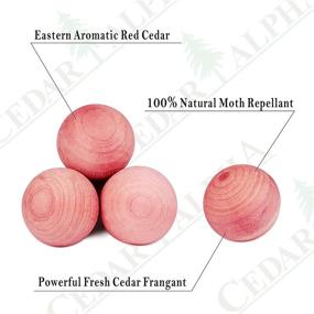 img 1 attached to 🌲 Premium 130 Pack of 0.9" Cedar Balls for Clothes Storage and Drawers | Cedar Blocks for Clothes Storage | Aromatic Red Cedar for Closets | Cedar for Chest Without Chemical Perfumes