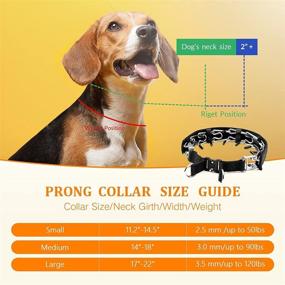 img 1 attached to Premium Metal Buckle Dog Prong Collar with 2 Extra Pinch for Optimal Training - Choker Collar for Small, Medium, and Large Dogs