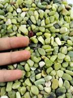 6.5 lbs of natural decorative polished jade pebbles gravel - voulosimi logo
