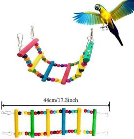 img 2 attached to 🐦 ESRISE 7 Piece Bird Parakeet Cockatiel Parrot Toys Set - Hanging Bell Pet Bird Cage Hammock Swing Climbing Ladders Toy with Wooden Perches and Chewing Toys for Small Parrots, Conures, Love Birds, Finches