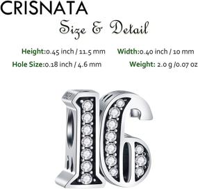 img 3 attached to 🎁 925 Sterling Silver Anniversary Charms for European Birthday Bracelets - Clear CZ Stones - Range of Numbers 10 to 80 - Perfect Gifts for Family, Lovers & Friends