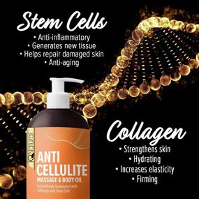 img 3 attached to 🌿 IQ Natural Anti Cellulite Massage Oil – Collagen and Stem Cell Infused for Toned, Firm, and Tightened Skin – Therapeutic Cream for Cellulite Reduction – 8.8 oz