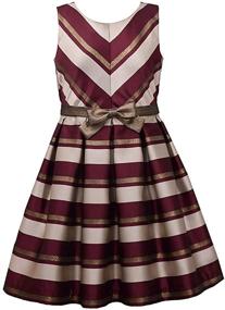 img 3 attached to 👗 Bonnie Jean Big Girl's Sleeveless Stripe Metallic Party Dress (Size 7-16)