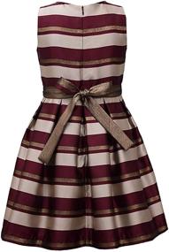 img 2 attached to 👗 Bonnie Jean Big Girl's Sleeveless Stripe Metallic Party Dress (Size 7-16)