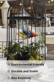 img 2 attached to 🐦 SunGrow Parrot Cage Hammock Swing: Colorful Wooden Swing with Metal Chain and Clasp, Ensures Fun & Comfort for Your Parrot, 1 Pack (7.8 Inches)