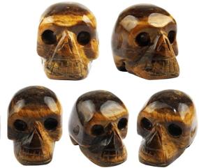 img 1 attached to 🔮 SUNYIK Assorted Stone Carved Skull Statue, Pocket Crystal Figurines Sculpture Decor Pack of 7 - 1 inch