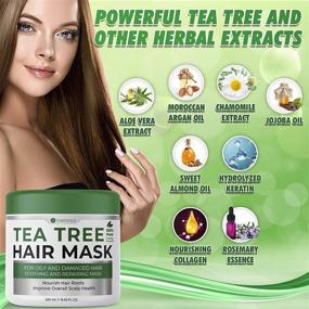 img 3 attached to Revitalize & Repair Dry Damaged Hair with Bellisso Tea Tree Oil Hair Mask - Intense Hydration & Protein Moisture Treatment for Women