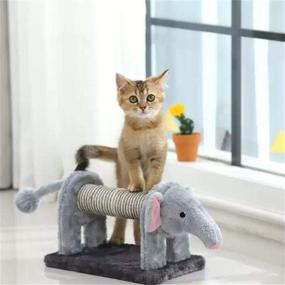 img 3 attached to 🐱 Xyconcep Cat Scratching Toy: Lion & Elephant Design, Sunflower Theme, Mini Cat Tree - Cute Animal Toy for Endless Fun