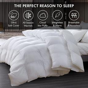 img 1 attached to Premium Full/Queen Size Egyptian Cotton Duvet - Luxurious Siberian Goose Down Comforter - Baffle Box Design - 48oz Fill Weight - Solid White