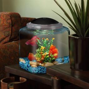 img 1 attached to BettaTank 2-Gallon Hex: Enhanced with LED Lighting for Stunning Display