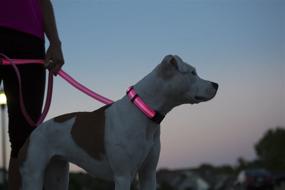 img 2 attached to 🐶 Adjustable LED Dog Collar by Elive