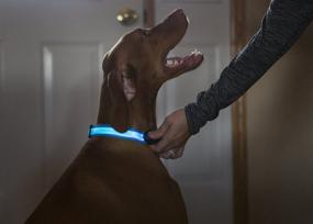 img 1 attached to 🐶 Adjustable LED Dog Collar by Elive