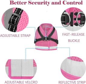 img 3 attached to AVCCAVA Cat Harness and Leash Set: Escape-Proof and Adjustable Reflective Vest for Walking, with Easy Net Breathable Safety Jacket