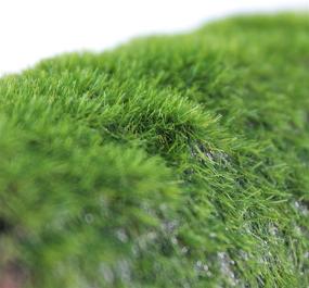 img 1 attached to Enhance Your Aquarium with Penn-Plax Hideaway Pipes: Realistic Moss-Like Texture for Fish Fun - Large (RR1096)