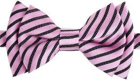img 1 attached to 👔 Stylish Striped Microfiber Pre-Tied Boys' Accessories by Retreez