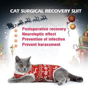 img 2 attached to Кошачий хирургический костюм Hipet Cat Recovery: идеальное антилизинговое решение для брюшных ран и кожных заболеваний, замена воротнику и конусу на кошачий жилет-боди.