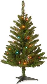 img 4 attached to 🎄 3 Foot National Tree Company Artificial Pre-Lit Mini Christmas Tree, Green Kingswood Fir with Multicolor Lights and Stand