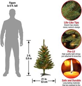 img 2 attached to 🎄 3 Foot National Tree Company Artificial Pre-Lit Mini Christmas Tree, Green Kingswood Fir with Multicolor Lights and Stand