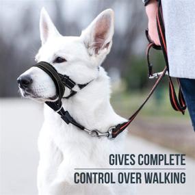 img 3 attached to 🐶 GoodBoy Dog Head Halter with Safety Strap - Effective Solution to Prevent Leash Pulling - Comfortable Padded Headcollar for Dogs of All Sizes - Includes Head Collar Training Guide