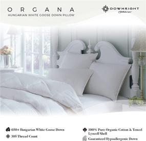 img 3 attached to Premium Quality Down Pillow: Downright 305 🌟 TC 24oz Organa Down Pillow, King Size 20x36