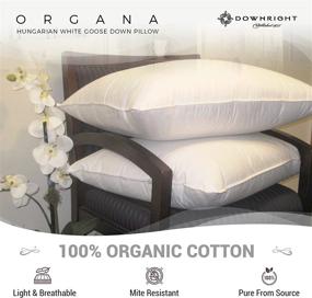 img 2 attached to Premium Quality Down Pillow: Downright 305 🌟 TC 24oz Organa Down Pillow, King Size 20x36