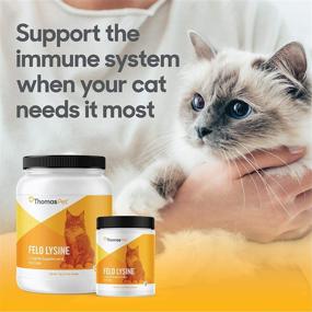 img 3 attached to Thomas Labs Lysine For Cats