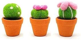 img 1 attached to 🌵 Artec360 Succulent Needle Felting Kits for Beginners - Includes Argil Base (Pack of 3)