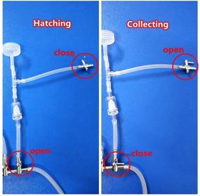 img 2 attached to 🦐 Efficient Artemia Hatching Tools: PUPUZAO 3-Way Soda Bottles Brine Shrimp Hatchery Kit