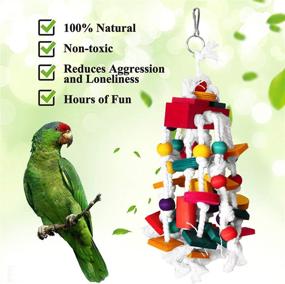 img 2 attached to 🐦 High-quality Rypet Bird Chewing Toy - Ideal Parrot Cage Bite Toys, Wooden Block Bird Parrot Toys for Small and Medium Parrots and Birds