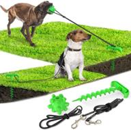 pile anchor chew toys green logo