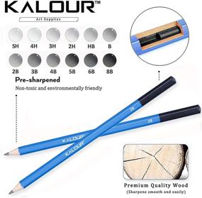 img 2 attached to 🖌️ Kalour Professional Drawing Sketching Pencils Set - 33 Pieces in Portable Zippered Travel Case, Including Charcoal Pencils, Sketch Pencils, and Charcoal Stick. Ideal Drawing Supplies for Artists and Beginners