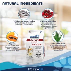 img 2 attached to 🐶 Forza10 Dermo Sensitive Skin Dog Food: Allergy & Itching Relief, Fish Flavor - Sensitive Stomach Dog Food, All Breeds & Adults