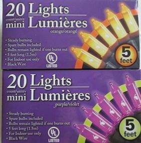 img 1 attached to 🎃 Greenbrier Purple and Orange Halloween Mini Lights Bundle - 2 Item Set: Purple and Orange Mini Lights