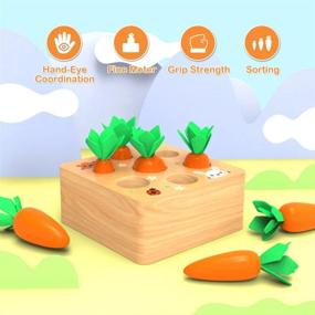 img 1 attached to 🥕 Wooden Montessori Developmental Shape Sorting & Matching Carrots Harvest Game Toys for Babies 6-12 Months - Ideal Birthday Gifts for Boys and Girls